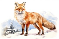 Fox mammal animal snow. 