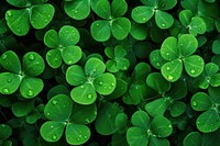Green backgrounds clover plant. AI generated Image by rawpixel.