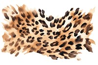 Leopard cheetah white background erinaceidae. 