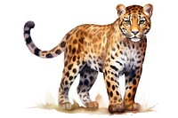 Wildlife leopard cheetah animal. AI generated Image by rawpixel.