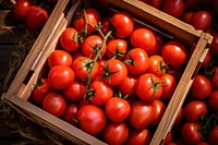 Tomato box vegetable plant. 