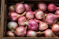 Onion box vegetable shallot. 