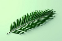 Plant green leaf tree. AI generated Image by rawpixel.