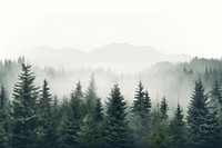 Mist fog fir backgrounds. AI generated Image by rawpixel.