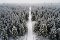 Forest road outdoors woodland. AI generated Image by rawpixel.