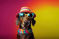 Glasses animal sunglasses dachshund. AI generated Image by rawpixel.