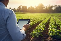 Agriculture outdoors computer nature. 