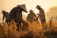 Harvest farm agriculture harvesting. AI generated Image by rawpixel.