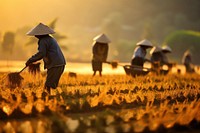 Farm agriculture harvesting outdoors. 