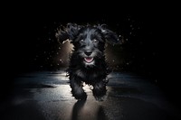 Animal portrait terrier mammal. AI generated Image by rawpixel.