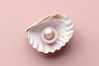 Pearl seashell jewelry invertebrate. 