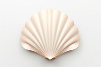 Seashell clam white background invertebrate. AI generated Image by rawpixel.