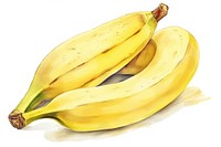 Banana plant food white background. AI generated Image by rawpixel.