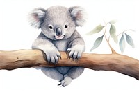 Koala wildlife mammal animal. AI generated Image by rawpixel.