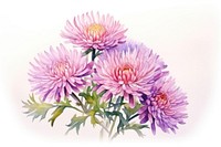 Aster flower dahlia petal. AI generated Image by rawpixel.