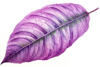 Leaf purple plant freshness. AI generated Image by rawpixel.