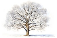 Drawing tree winter sketch. 