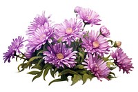 Aster flower purple plant. AI generated Image by rawpixel.