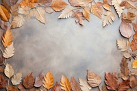 Backgrounds outdoors leaves plant. 