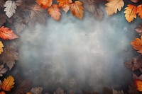 Backgrounds outdoors nature leaves. 