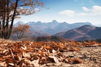 Landscape mountain outdoors nature. 