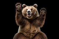 Wildlife animal bear mammal. AI generated Image by rawpixel.