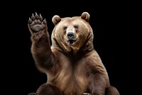 Wildlife animal bear mammal. AI generated Image by rawpixel.