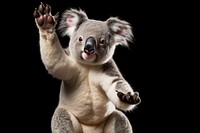 Wildlife animal koala mammal. AI generated Image by rawpixel.