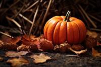 Halloween pumpkin leaves food. 