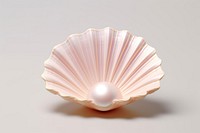 Pearl seashell lighting jewelry. AI generated Image by rawpixel.