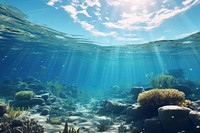 Nature ocean underwater outdoors. 