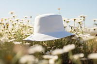 Flower plant field white. AI generated Image by rawpixel.