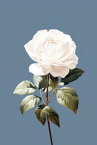 Flower rose plant petal. AI generated Image by rawpixel.