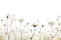 Flower daisy backgrounds outdoors. AI generated Image by rawpixel.