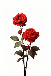 Flower rose plant red. AI generated Image by rawpixel.