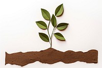 Plant soil leaf branch. 