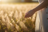 Field hand outdoors nature. 