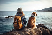 Pet dog backpack animal. 