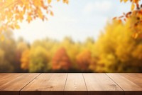 Autumn nature table wood. 