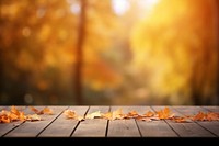 Autumn backgrounds sunlight nature. AI generated Image by rawpixel.