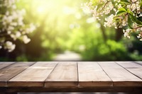 Nature table wood backgrounds. 