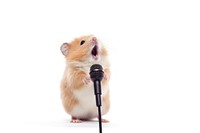 Microphone hamster animal mammal. AI generated Image by rawpixel.