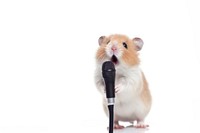 Hamster microphone animal rodent. AI generated Image by rawpixel.