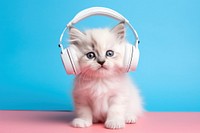 Headphones headset kitten mammal. 