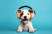 Headphones puppy headset mammal. AI generated Image by rawpixel.