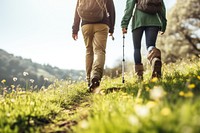 Footwear walking meadow hiking. 