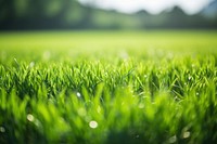 Grass field outdoors nature. AI generated Image by rawpixel.