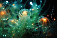 Jellyfish outdoors animal light. AI generated Image by rawpixel.