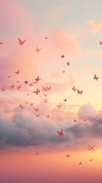 Flying flock sky. 
