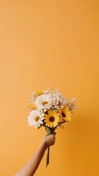 Flower hand sunflower holding. 